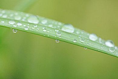 育碧原计划未来5年发售10款《刺客信条》游戏